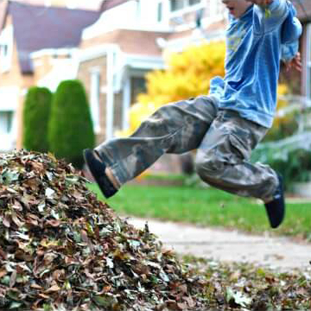 Boy jumping into leaves